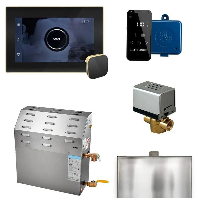 Générateur, 12000 W, 12 kW, Groupe générateur de douche à vapeur avec iSteamX commande en laiton satiné noir