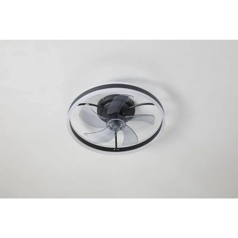 Ventilateur de plafond, 20 po, minuterie, intérieur, avec diffusion à distance, noir, à distance, 20 in, Ventilateurs de plafond avec éclairage