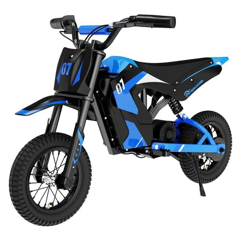 300-Watt 3-vitesses Motocycles à longue portée, à 3 vitesses, à 300 W et à 15, 5 MPH et 9, 3 Miles